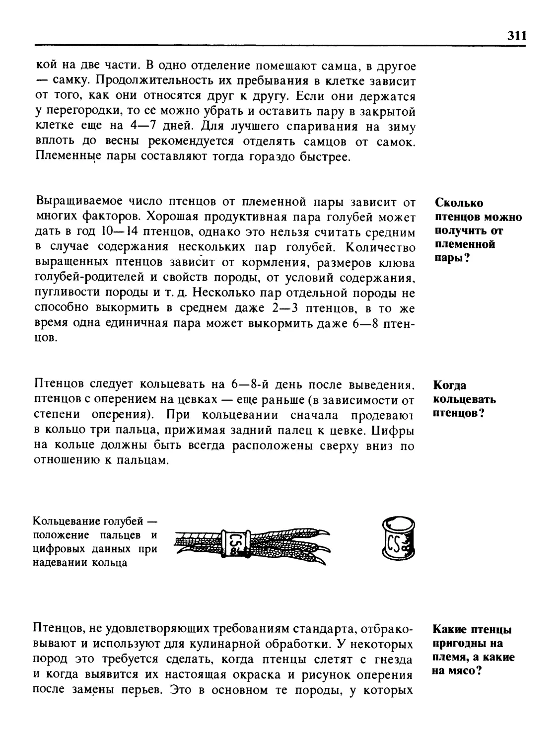 Сколько птенцов можно получить от племенной пары?
Когда кольцевать птенцов?
Какие птенцы пригодны на племя, а какие — на мясо?