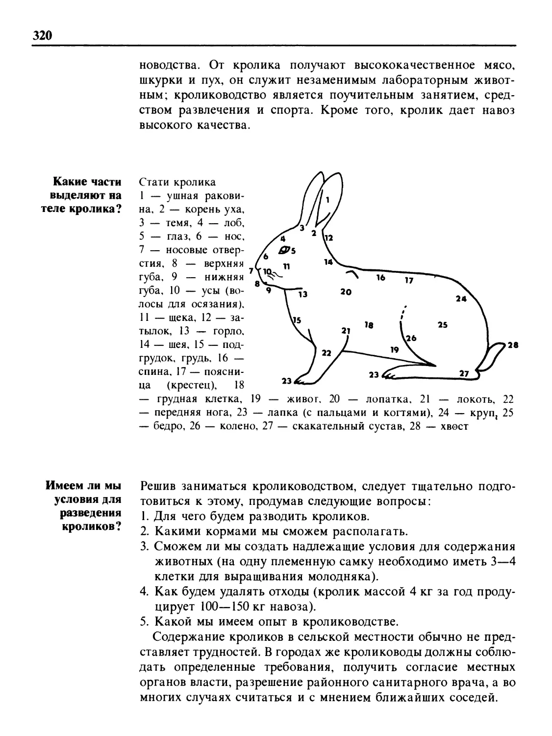 Какие части выделяют на теле кролика?
Имеем ли мы условия для разведения кроликов?