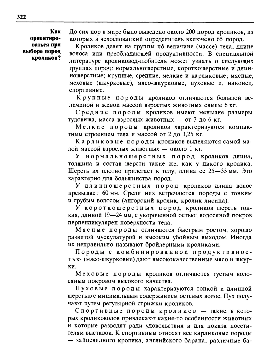 Как ориентироваться при выборе пород кроликов?