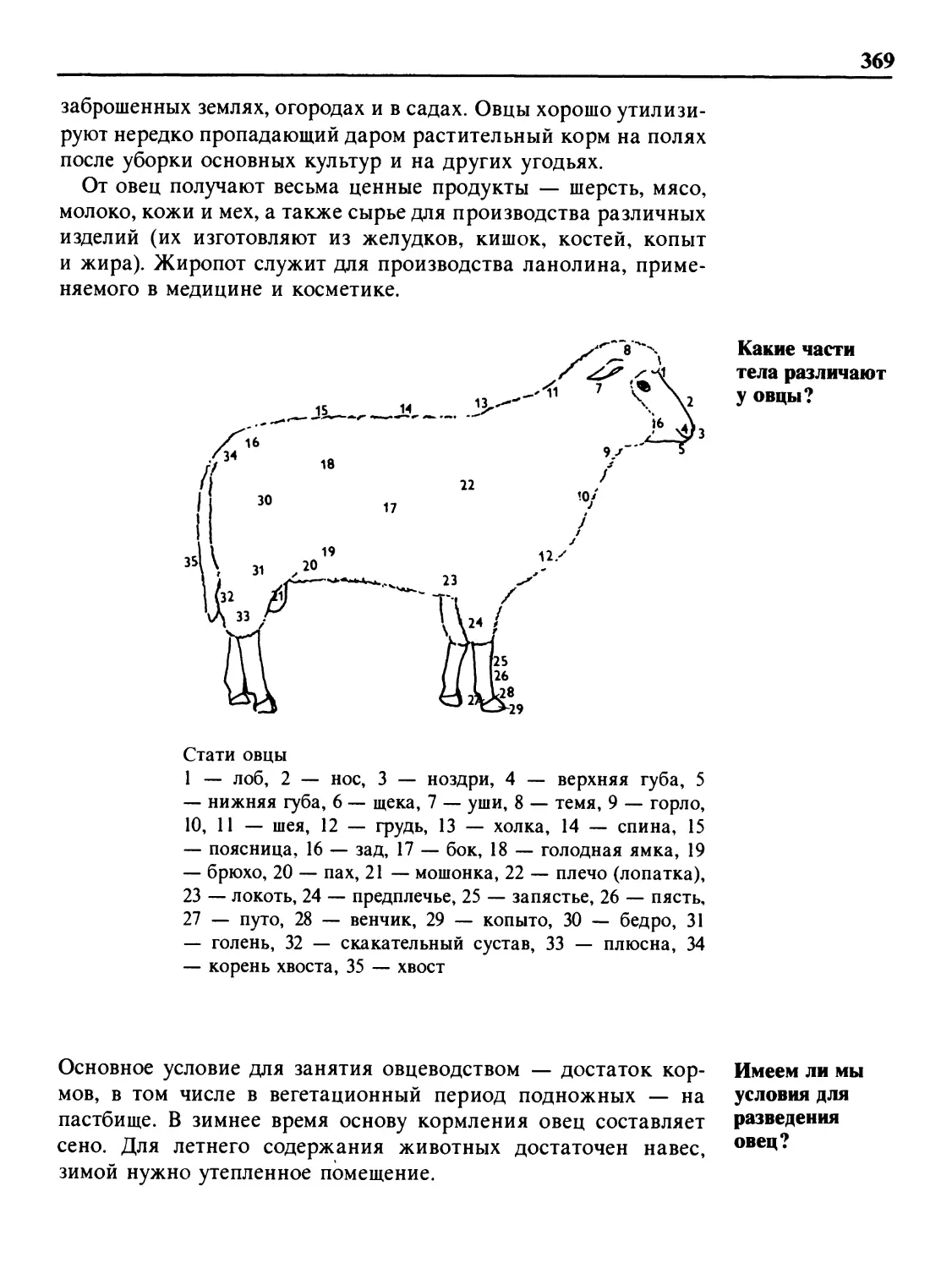 Какие части тела различают у овцы?
Имеем ли мы условия для разведения овец?