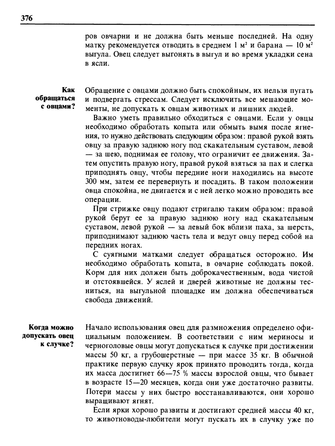 Как обращаться с овцами?
Когда можно допускать овец к случке?