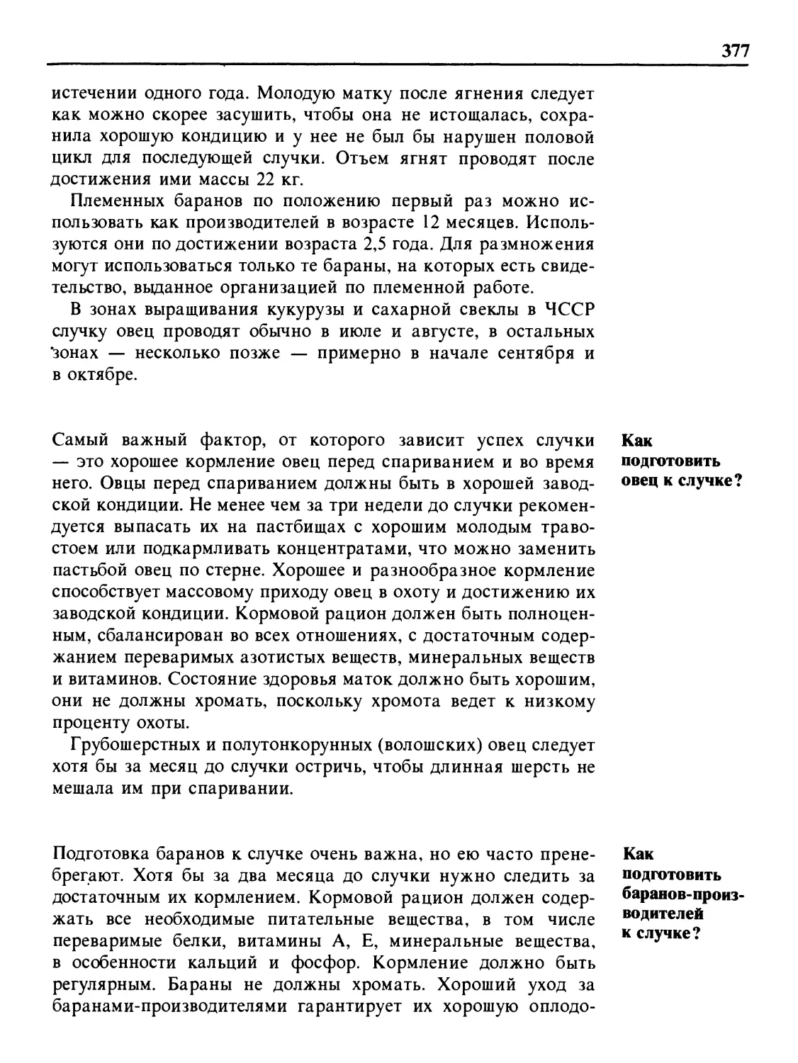 Как подготовить овец к случке?
Как подготовить баранов-производителей к случке?