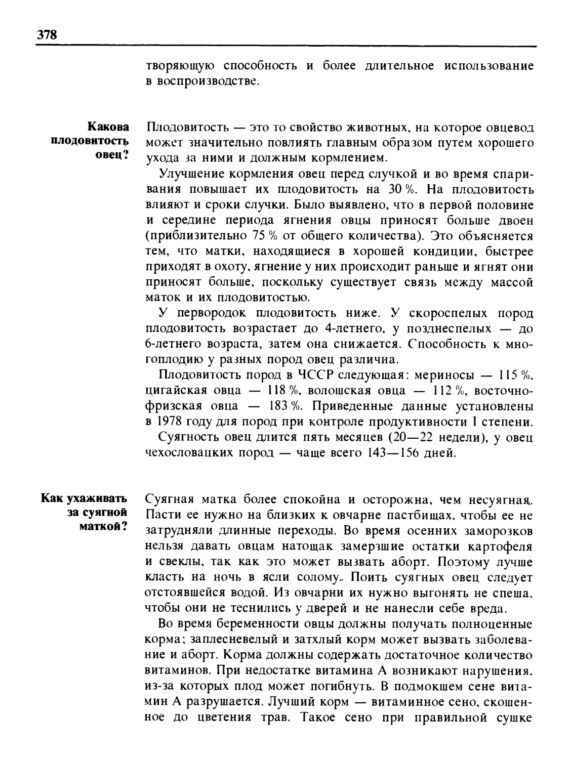 Какова плодовитость овец?
Как ухаживать за суягной маткой?