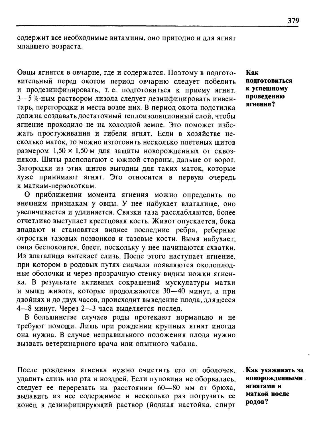 Как подготовиться к успешному проведению ягнения?
Как ухаживать за новорожденными ягнятами и маткой после родов?