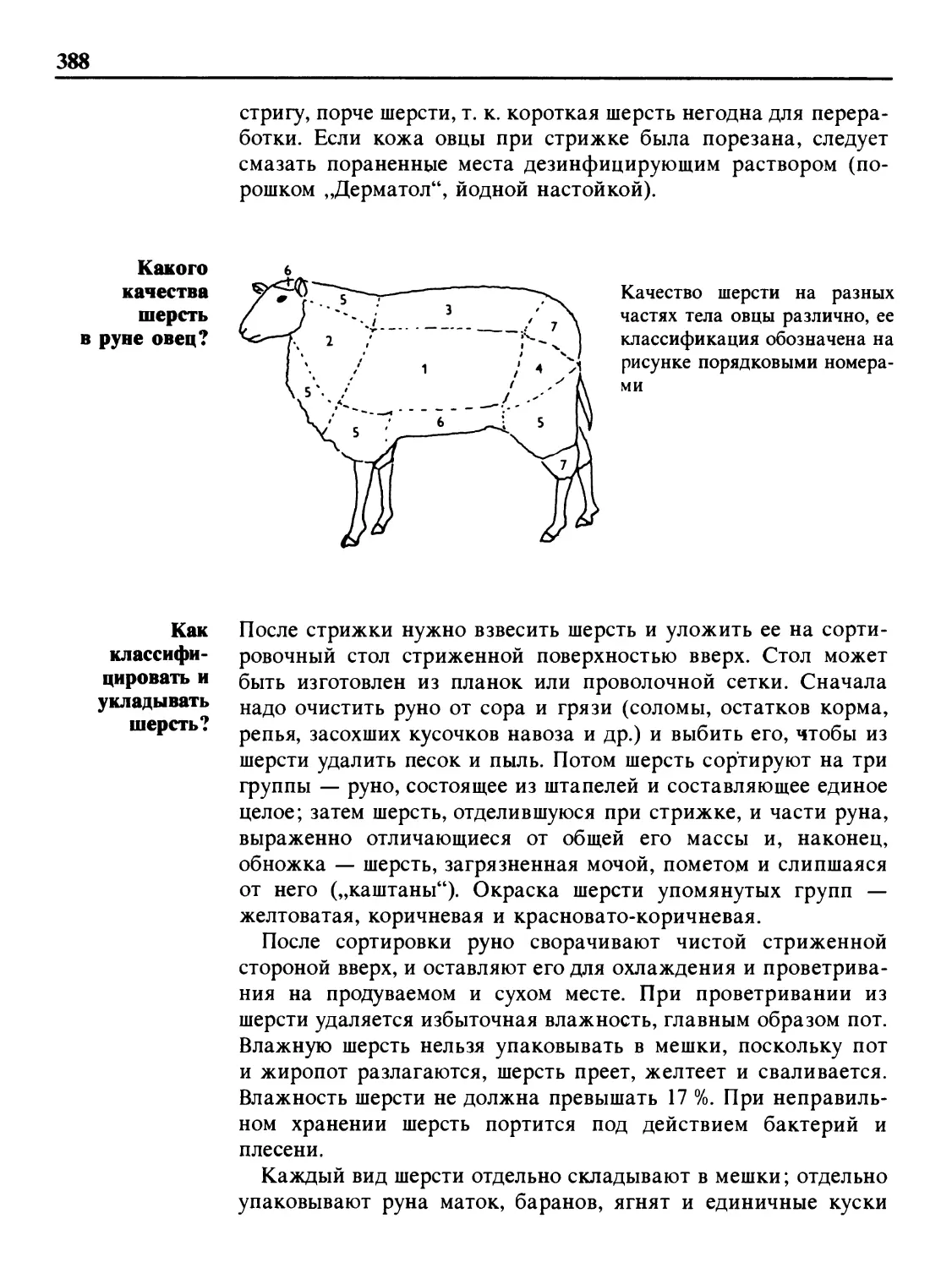 Какого качества шерсть в руне овец?
Как классифицировать и укладывать шерсть?