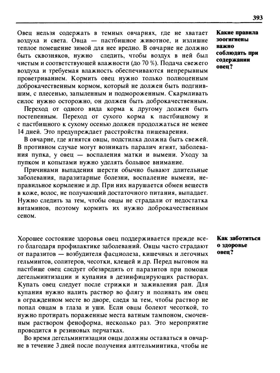 Какие правила зоогигиены важно соблюдать при содержании овец?
Как заботиться о здоровье овец?