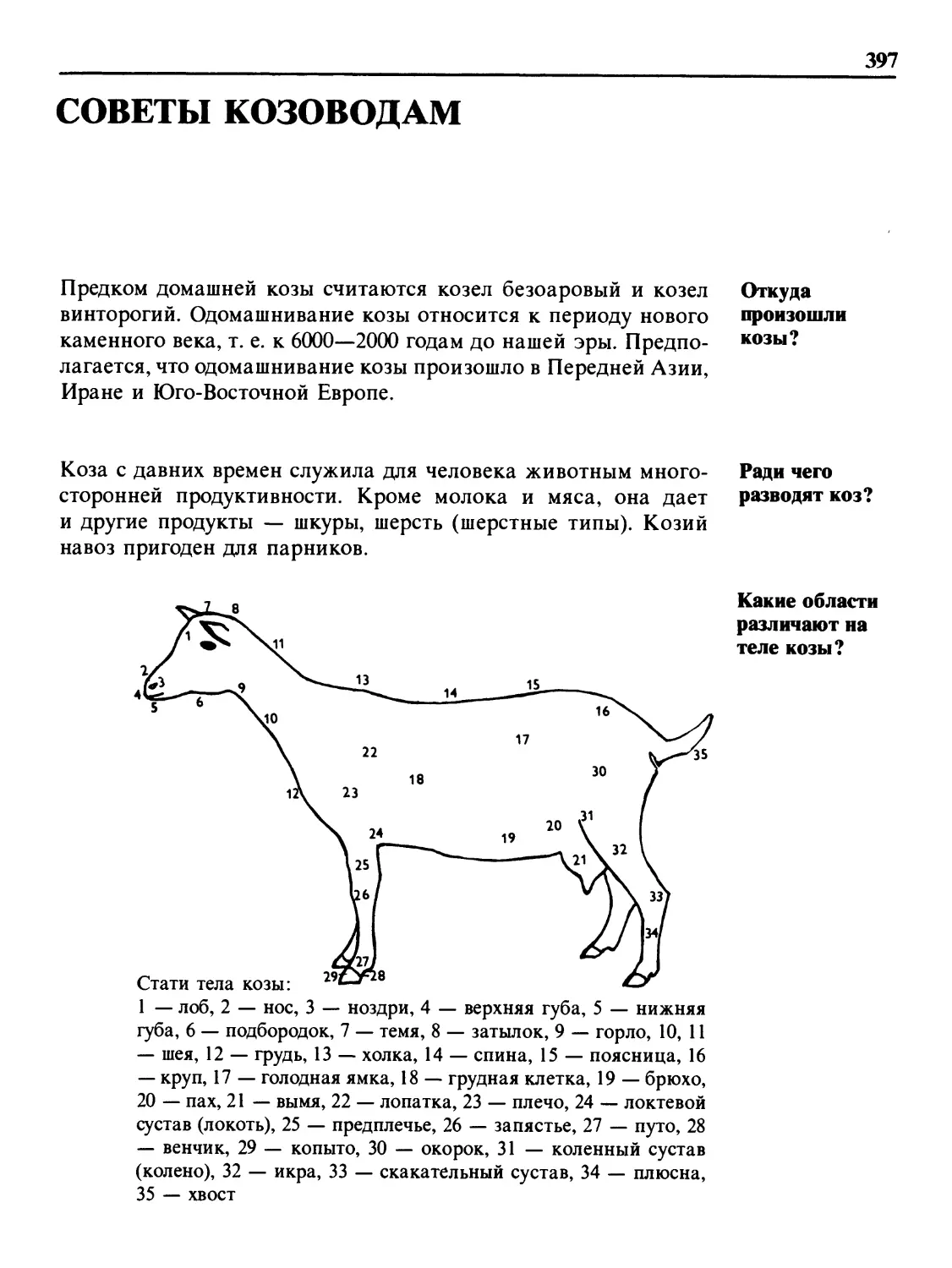 Советы козоводам
Ради чего разводят коз?
Какие области различают на теле козы?