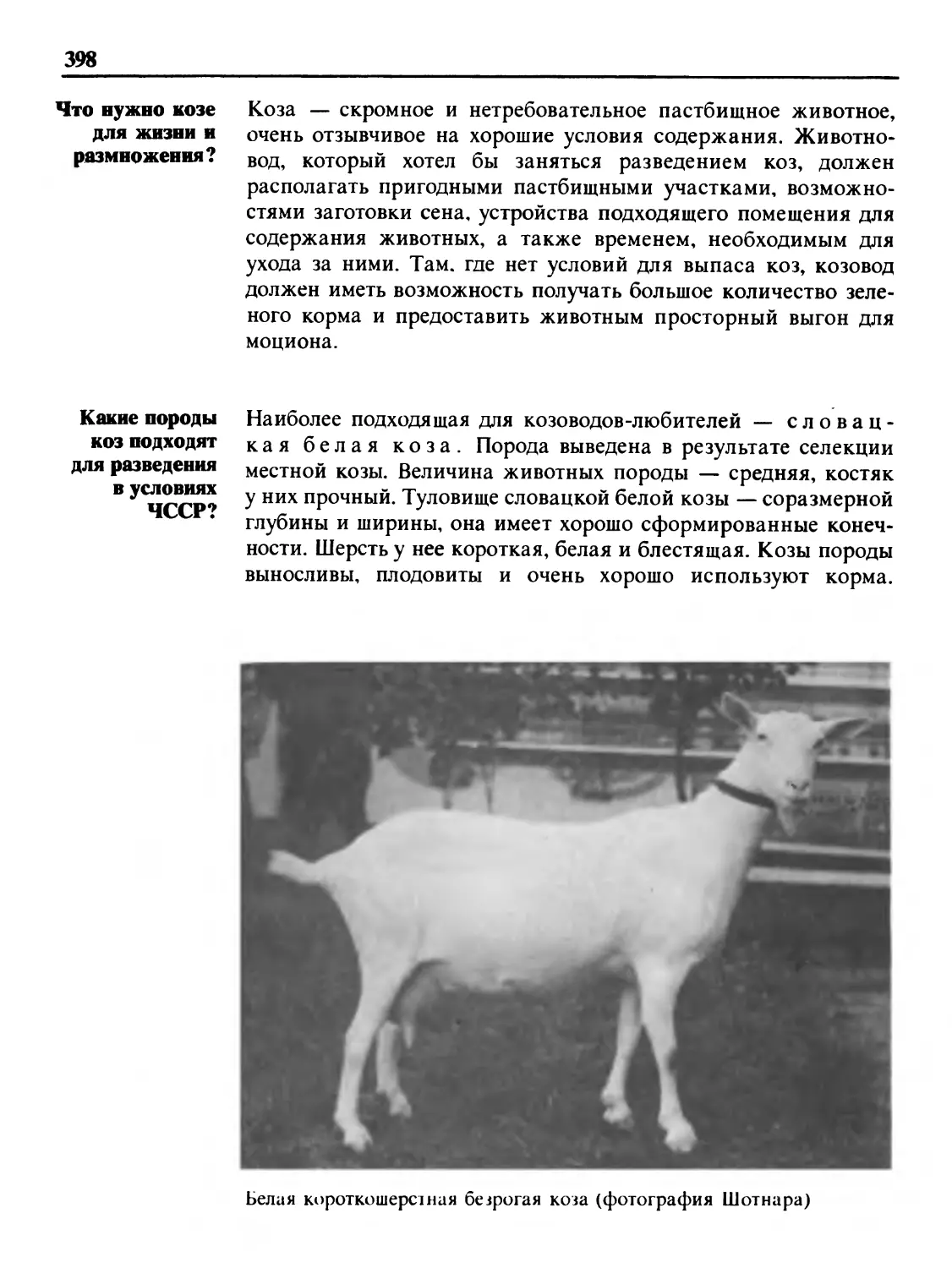 Что нужно козе для жизни и размножения?
Какие породы коз подходят для разведения в условиях ЧССР?