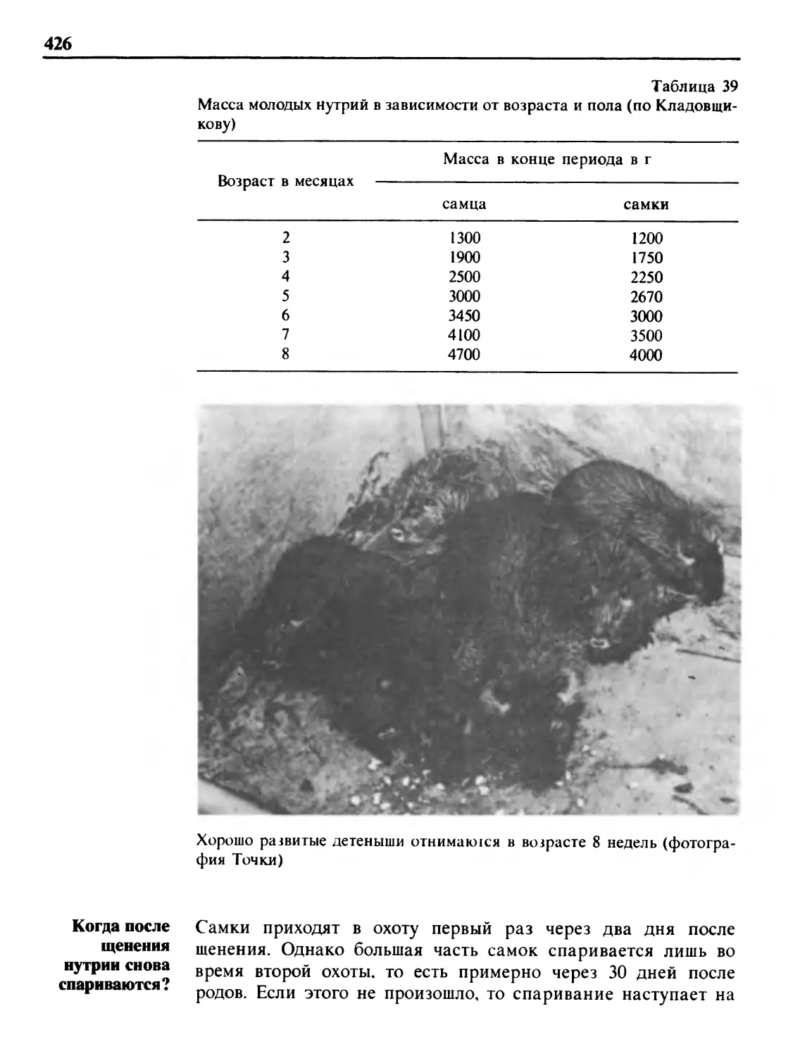 Когда после щенения нутрии снова спариваются?