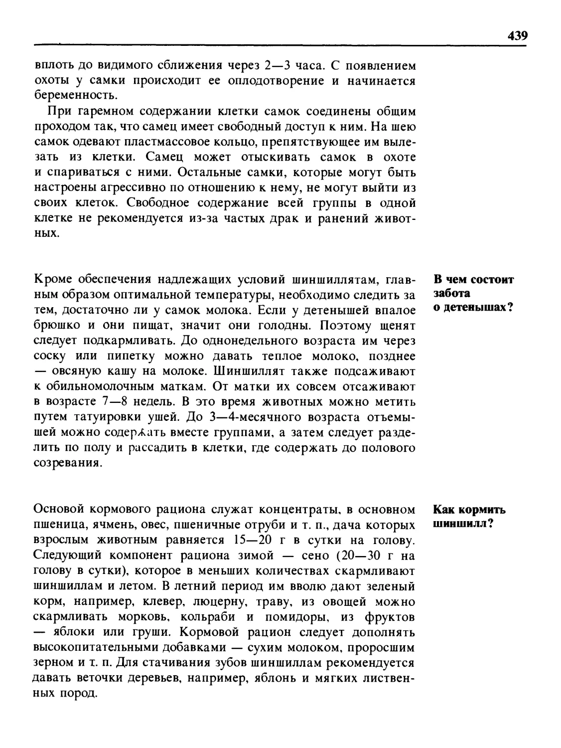 В чем состоит забота о детенышах?
Как кормить шиншилл?