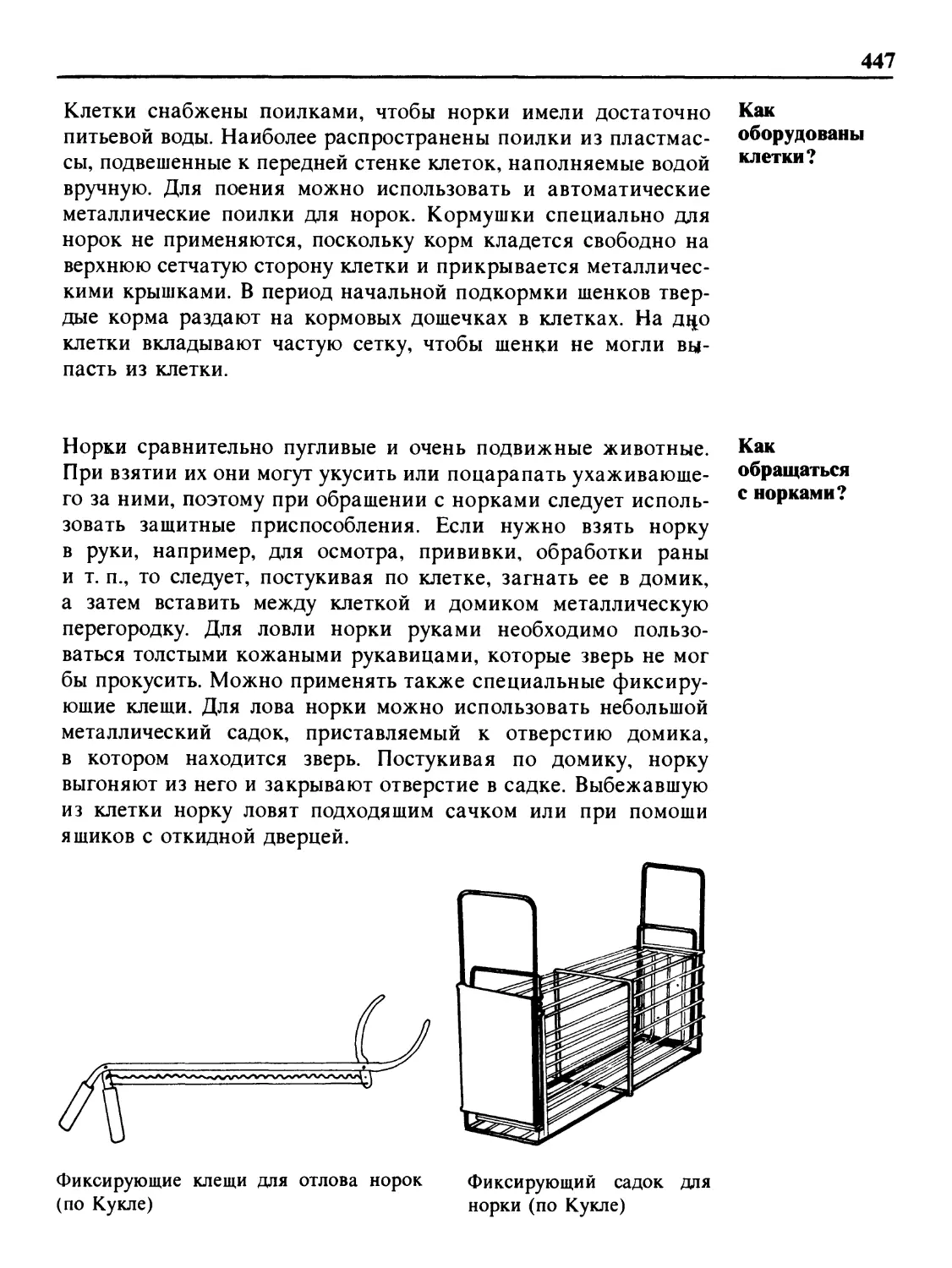 Как оборудованы клетки?
Как обращаться с норками?
