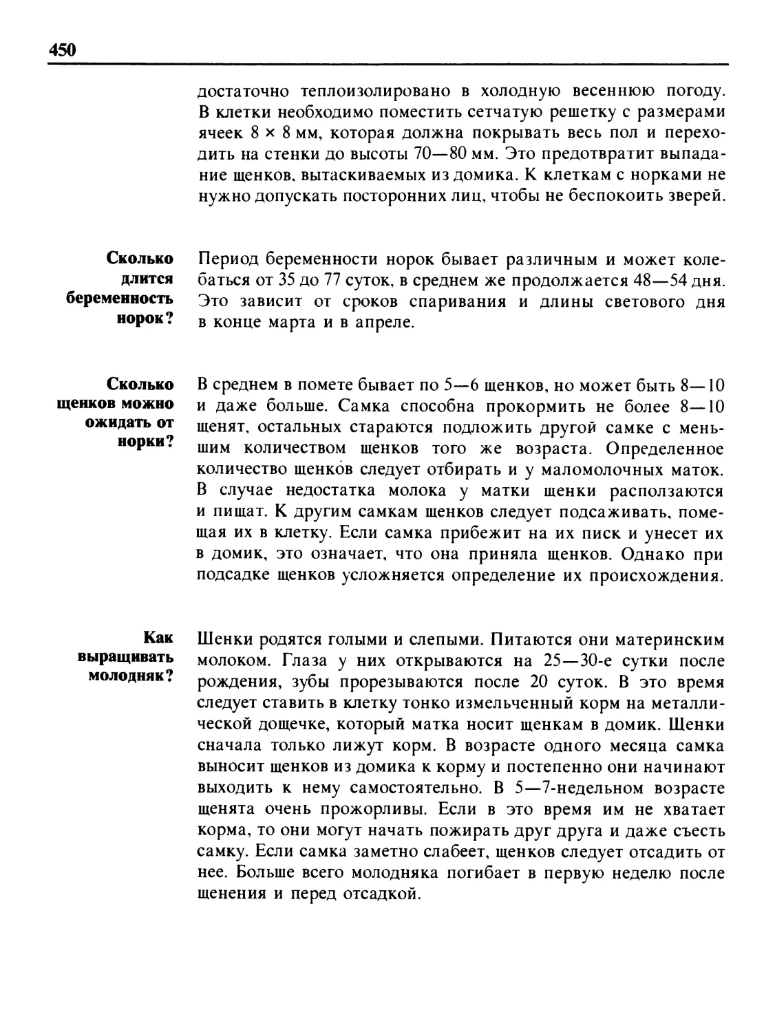 Сколько длится беременность норок?
Сколько щенков можно ожидать от норки?
Как выращивать молодняк?