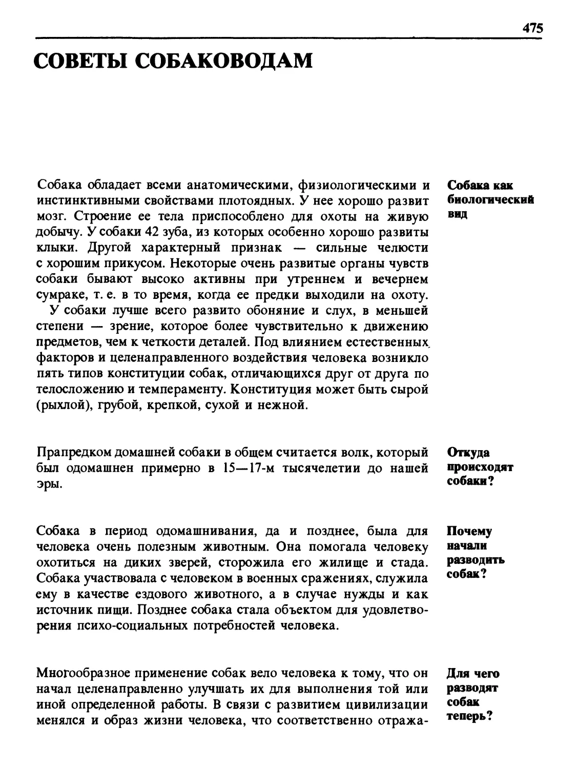 Советы собаководам
Откуда происходят собаки?
Почему начали разводить собак?
Для чего разводят собак теперь?