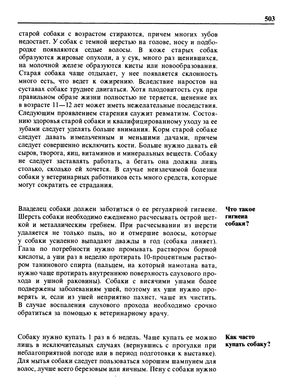 Что такое гигиена собаки?
Как часто купать собаку?