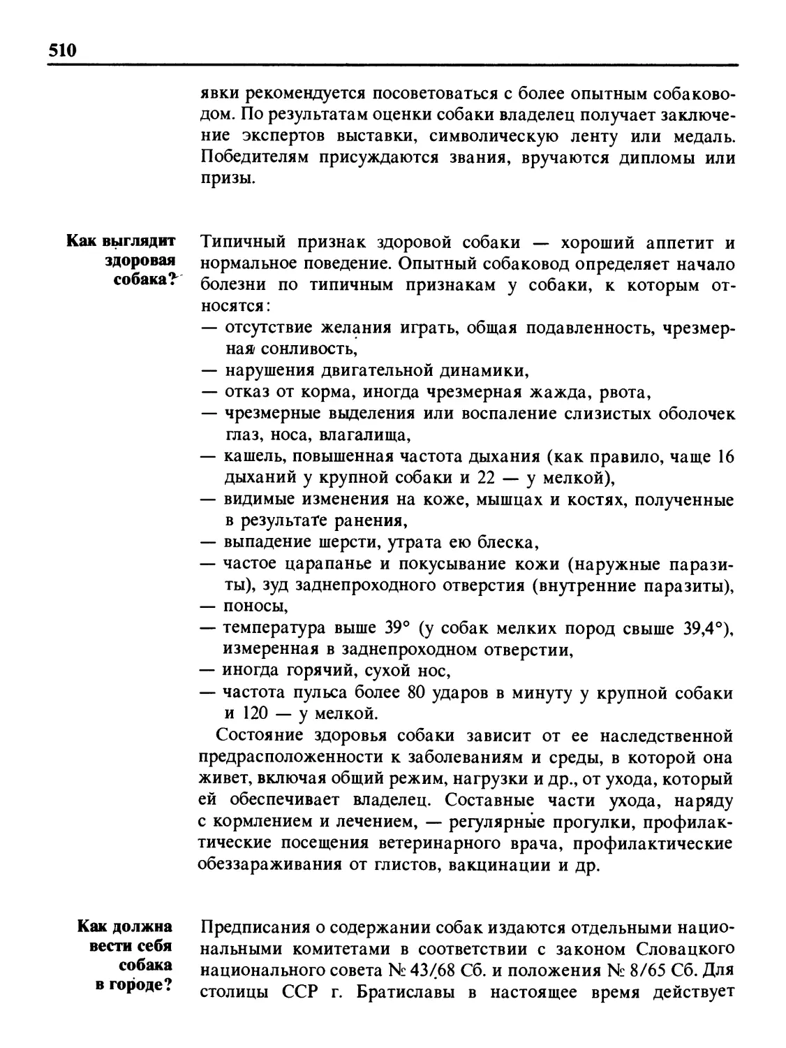 Как выглядит здоровая собака?
Как должна вести себя собака в городе?