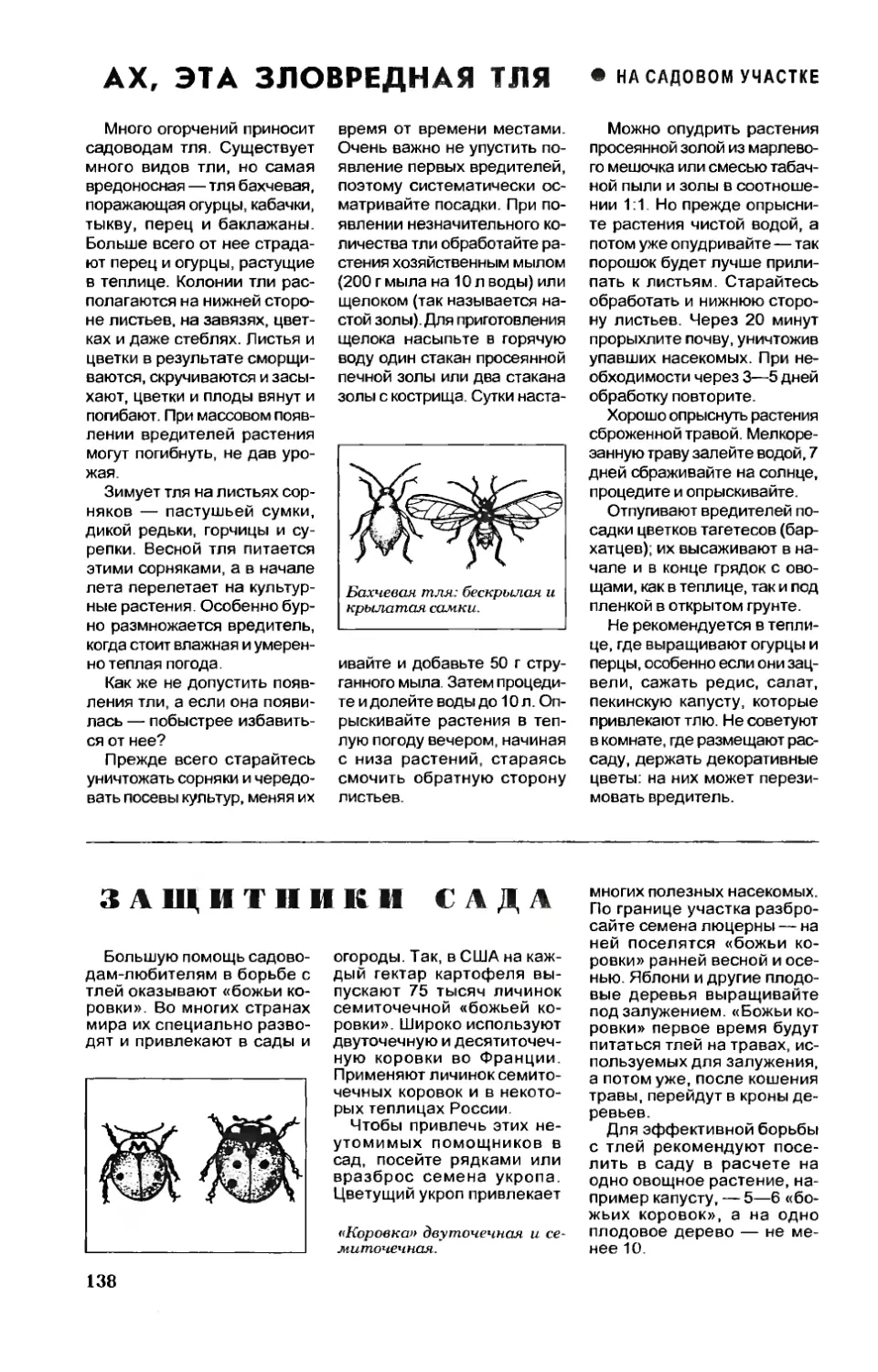 [На садовом участке] — Ах, эта зловредная тля