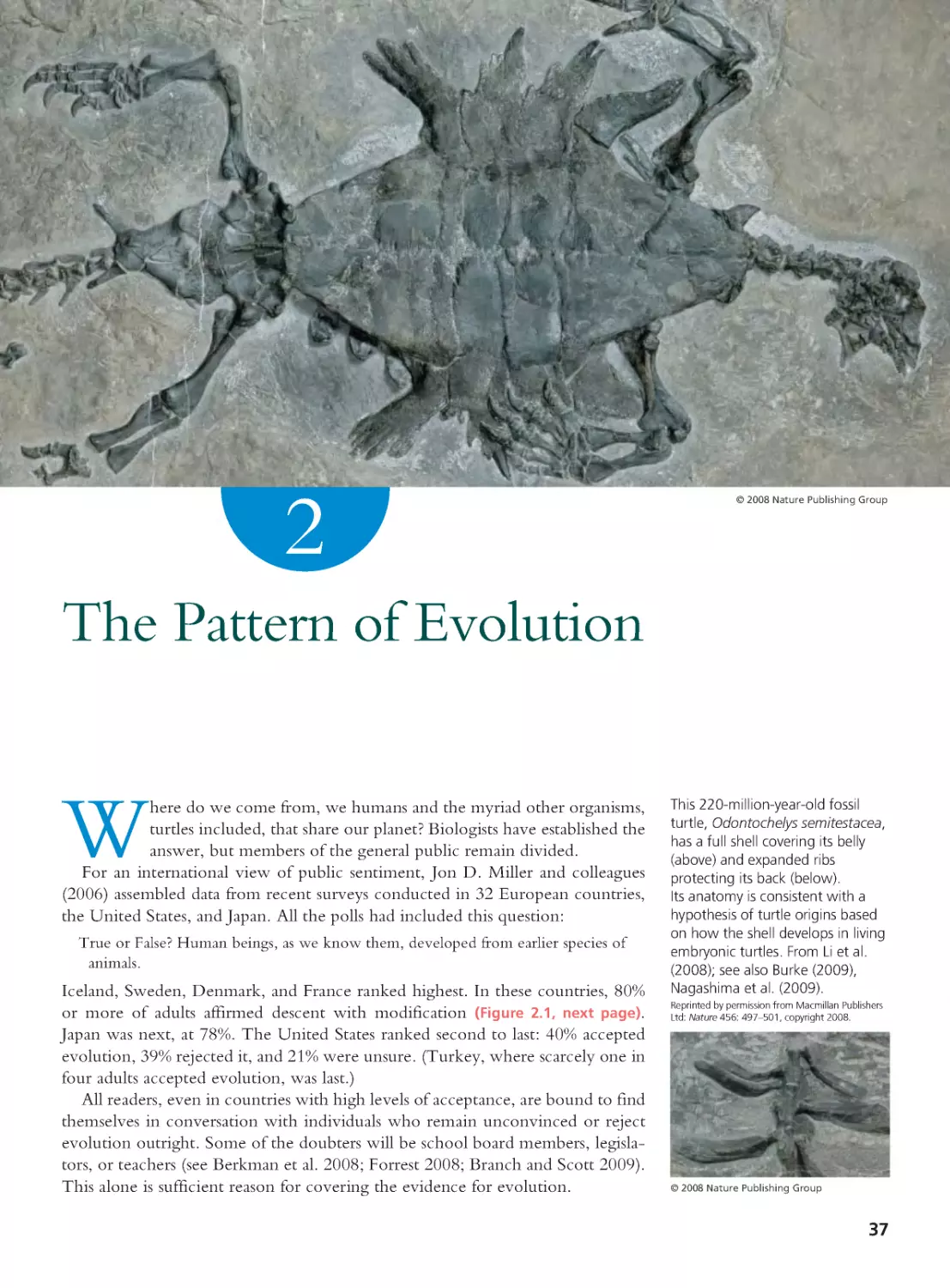 CHAPTER 2 The Pattern of Evolution