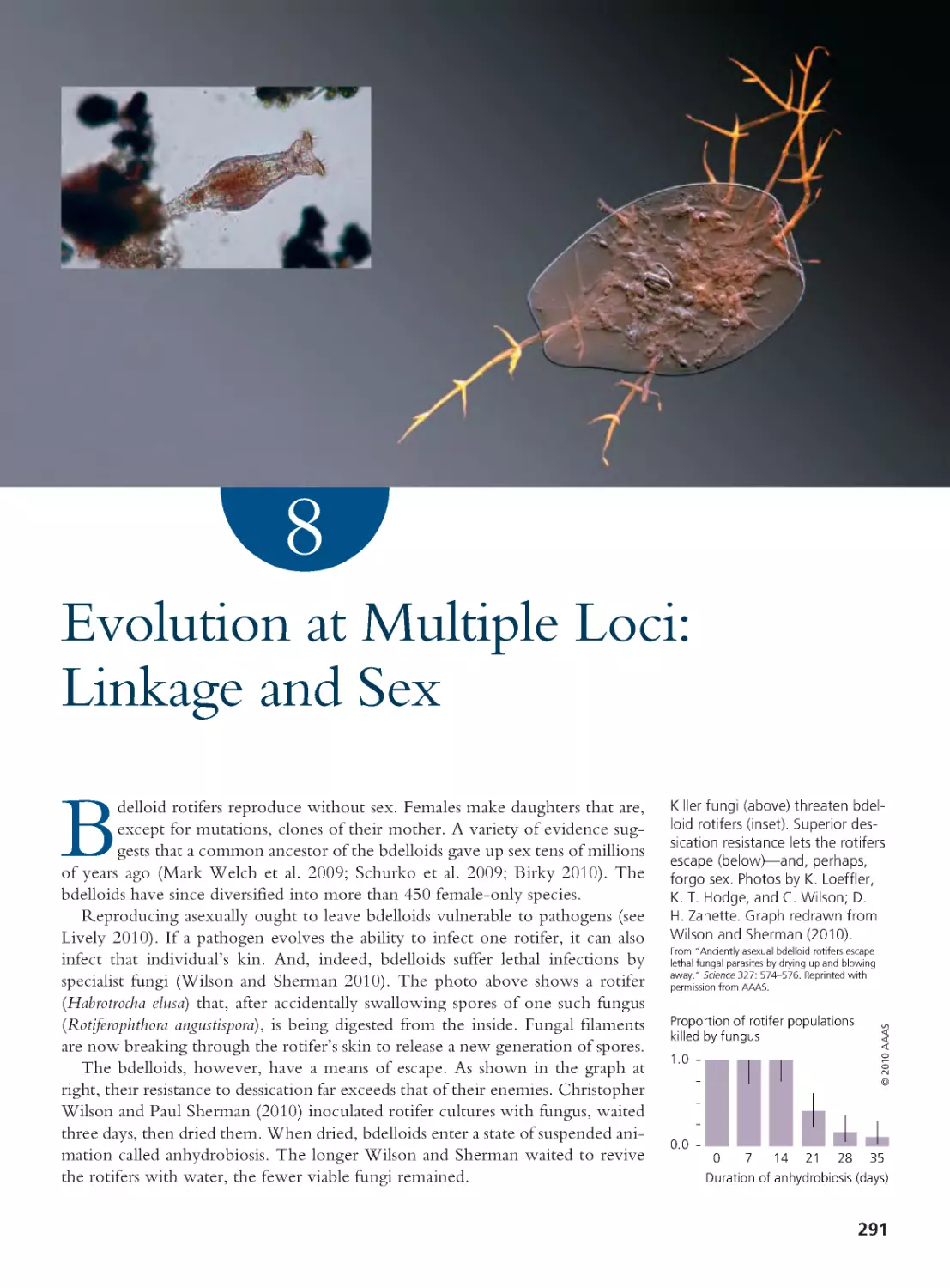 CHAPTER 8 Evolution at Multiple Loci: Linkage and Sex