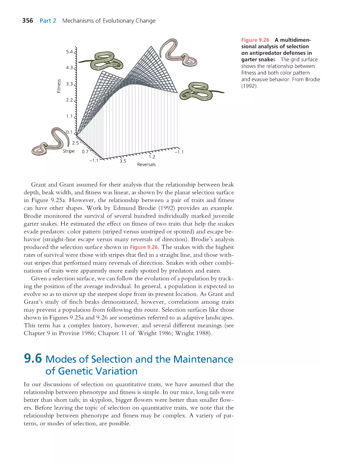 9.6 Modes of Selection and the Maintenance of Genetic Variation