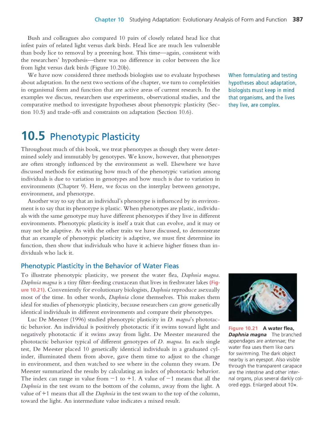 10.5 Phenotypic Plasticity