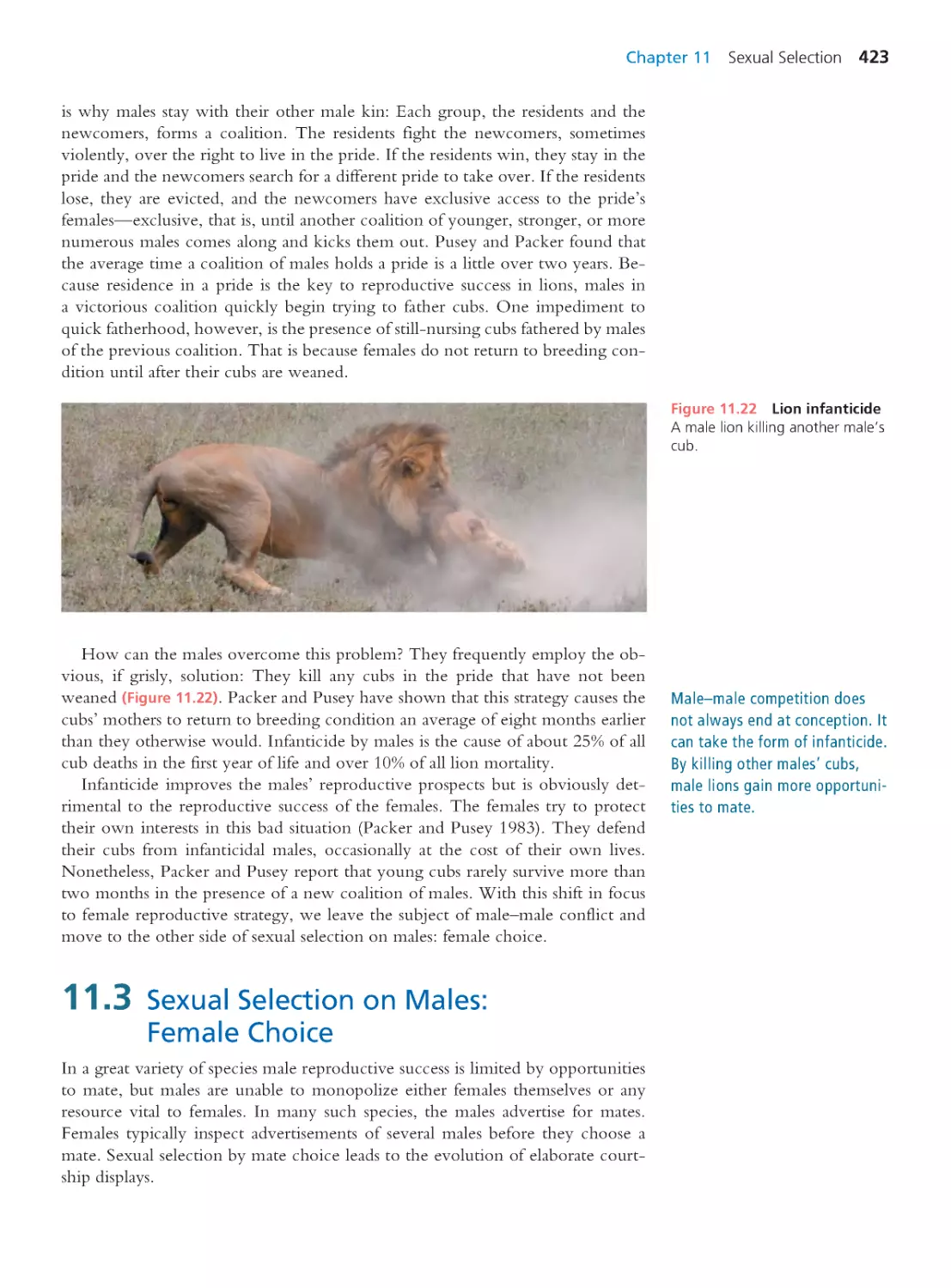 11.3 Sexual Selection on Males: Female Choice
