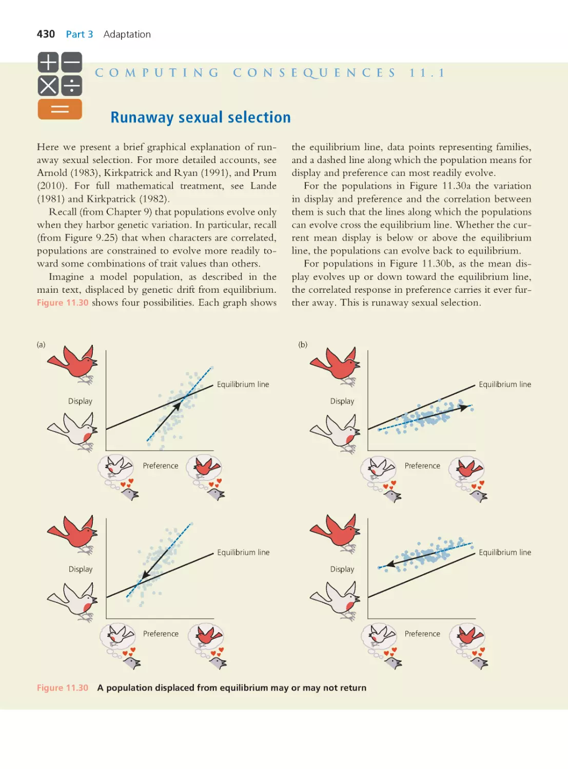 Computing Consequences 11.1 Runaway sexual selection