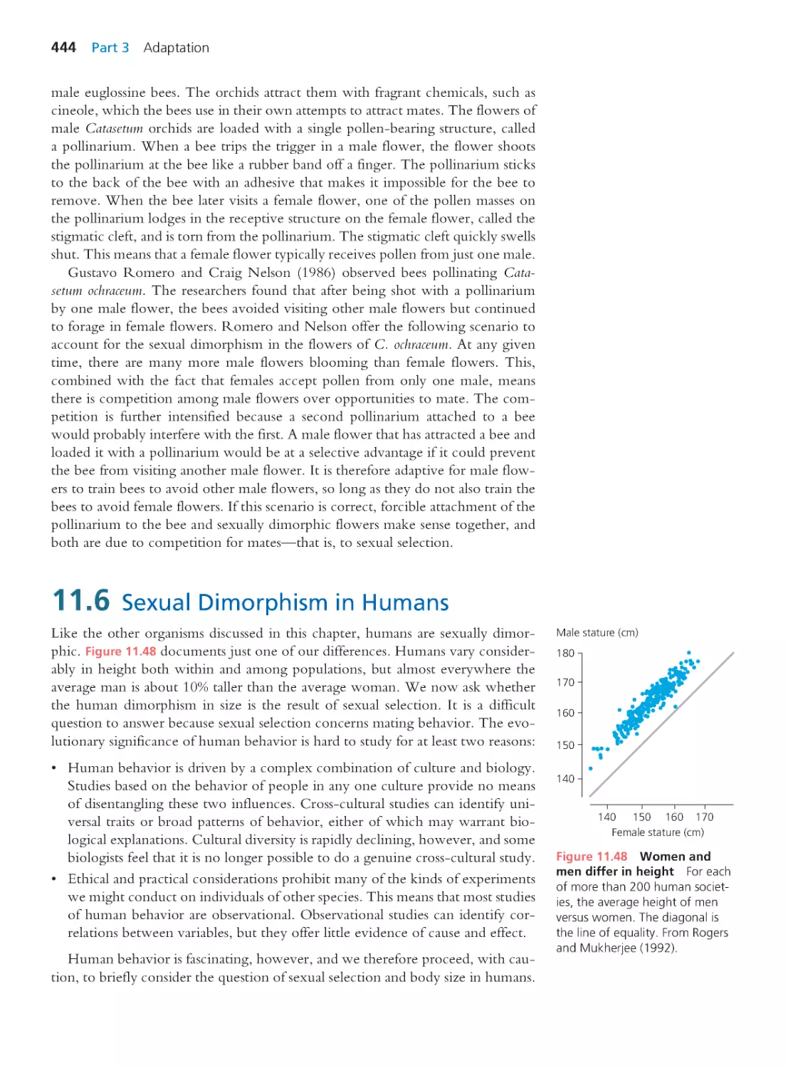 11.6 Sexual Dimorphism in Humans