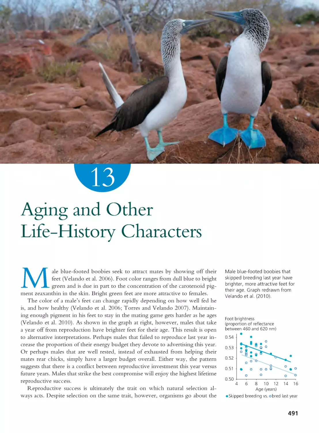 CHAPTER 13 Aging and Other Life-History Characters