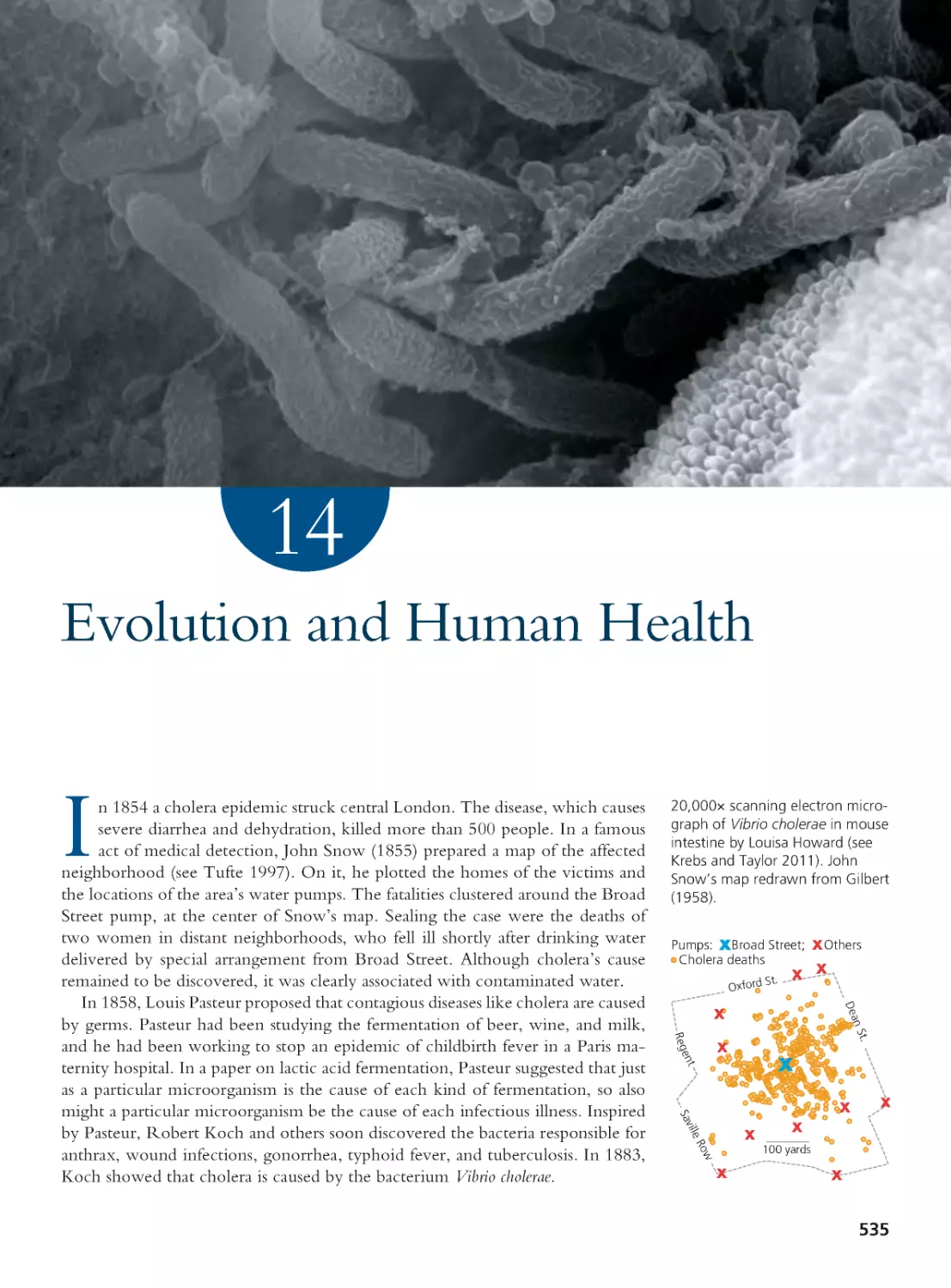 CHAPTER 14 Evolution and Human Health