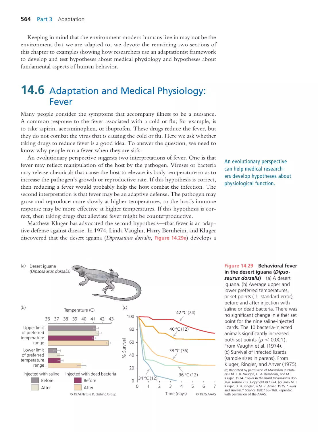14.6 Adaptation and Medical Physiology: Fever