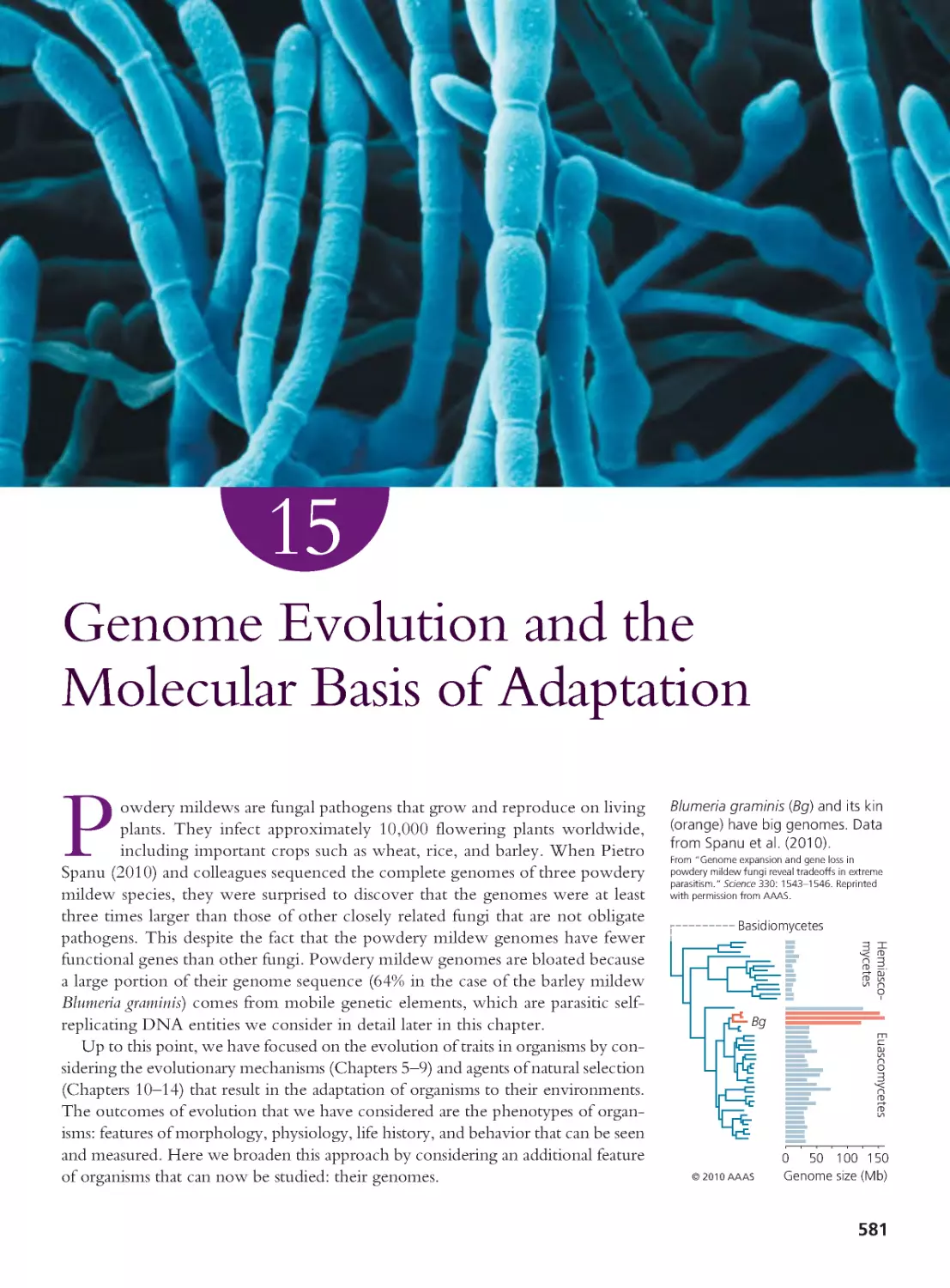 CHAPTER 15 Genome Evolution and the Molecular Basis of Adaptation