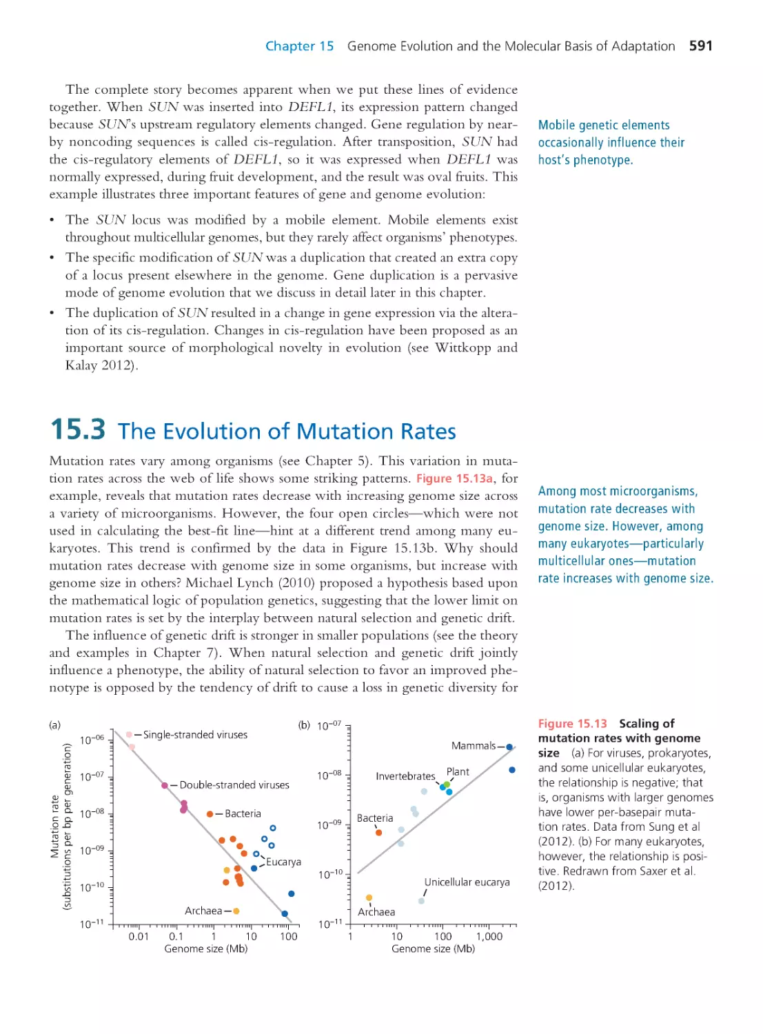 15.3 The Evolution of Mutation Rates