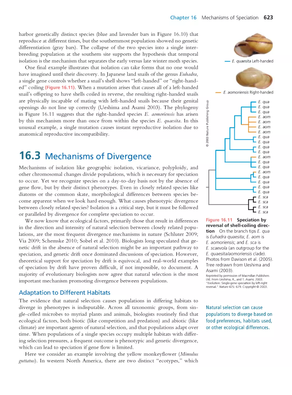16.3 Mechanisms of Divergence