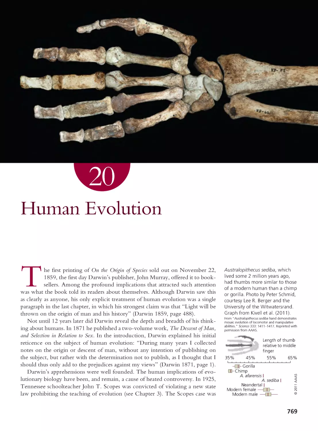 CHAPTER 20 Human Evolution