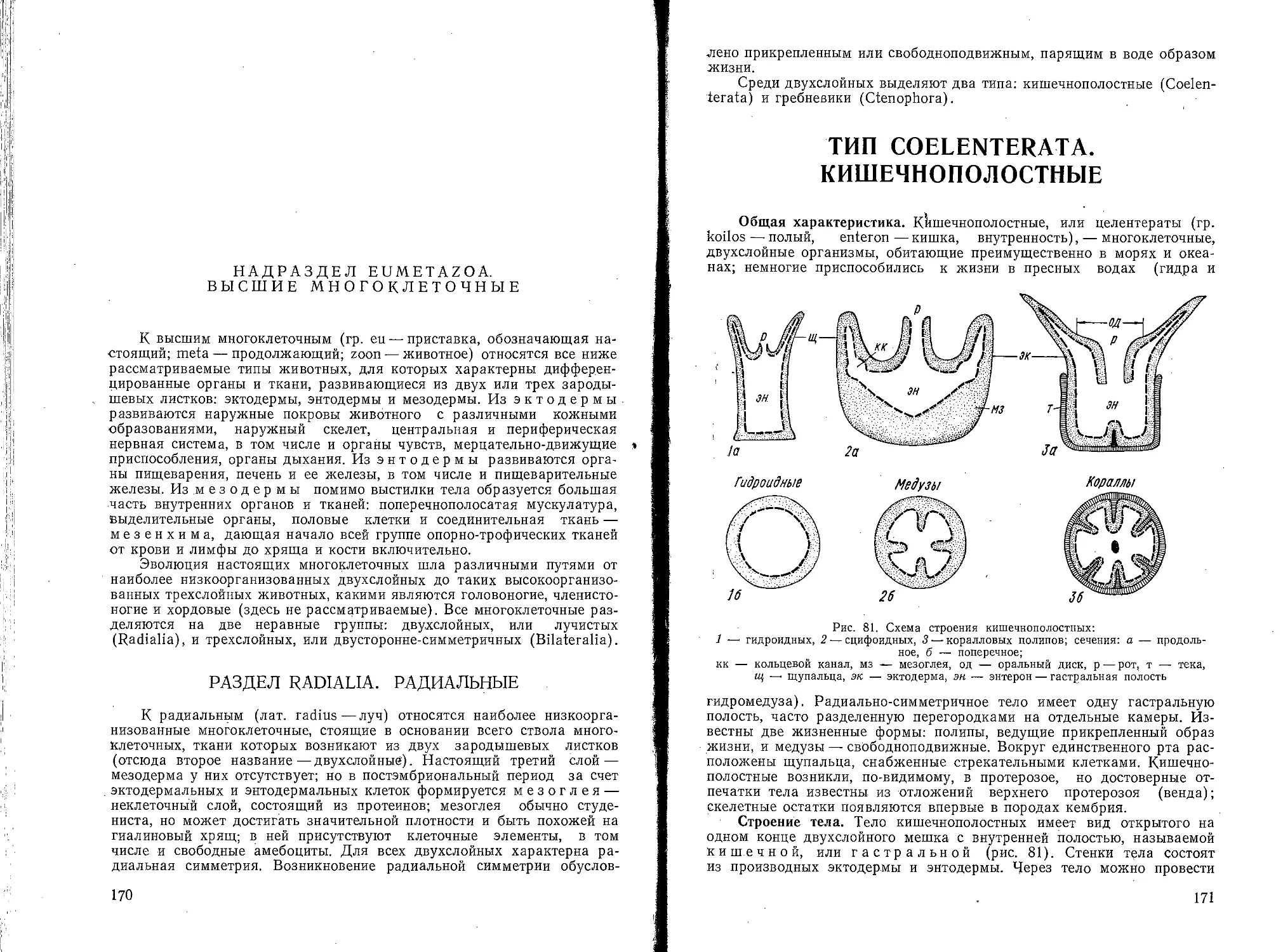 Тип Coelenterata. Кишечнополостные