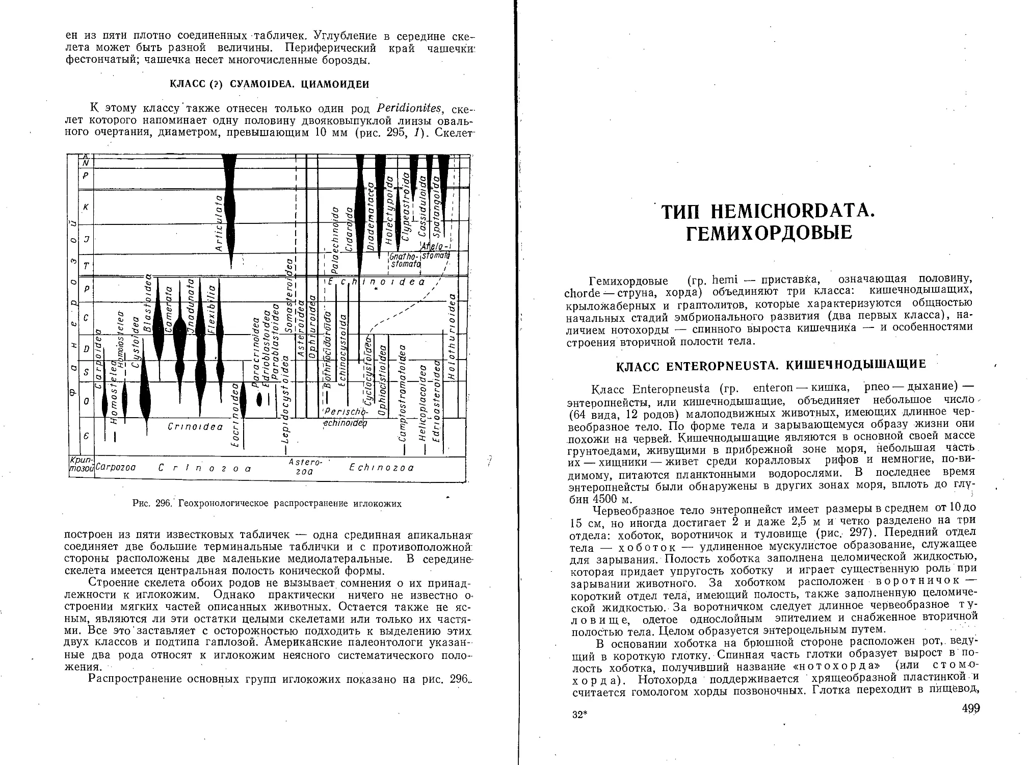 Тип Hemichordata. Гемихордовые