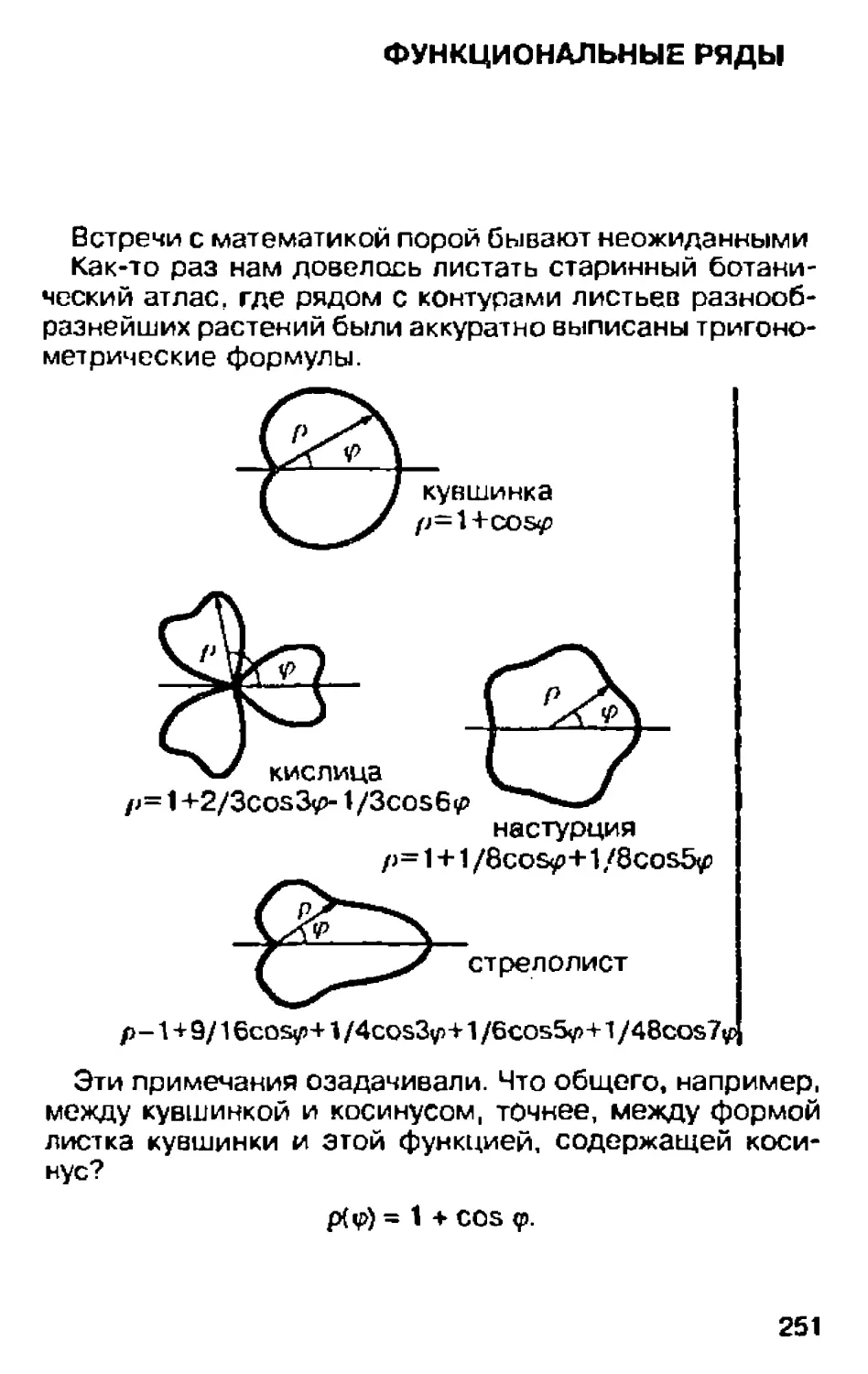 Функциональные ряды 251