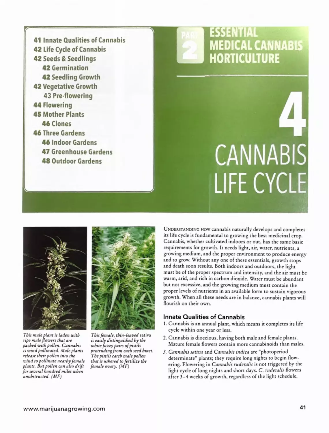 Part 2 | Essential Medical Cannabis Horticulture