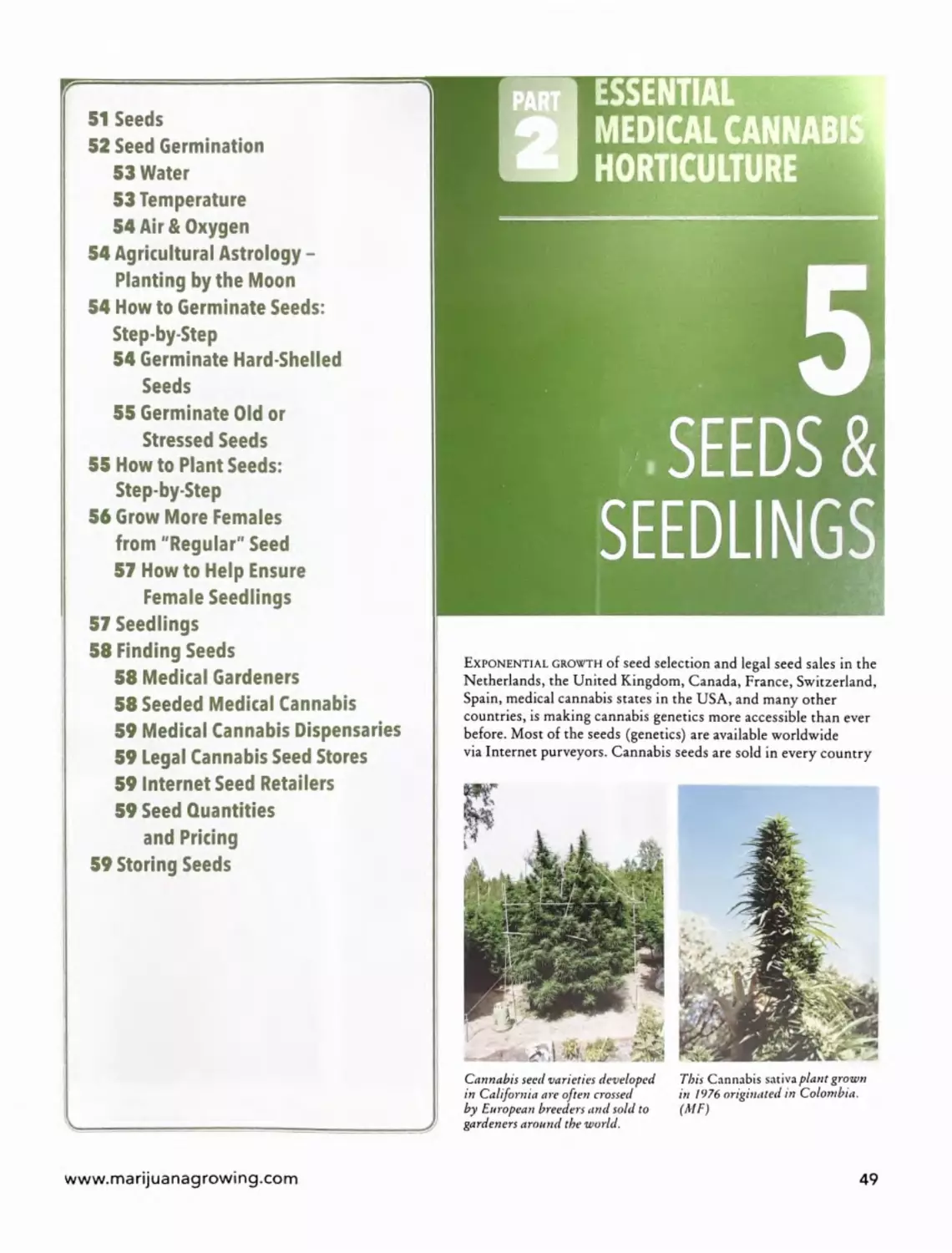 Chapter 5 - Seeds & Seedlings