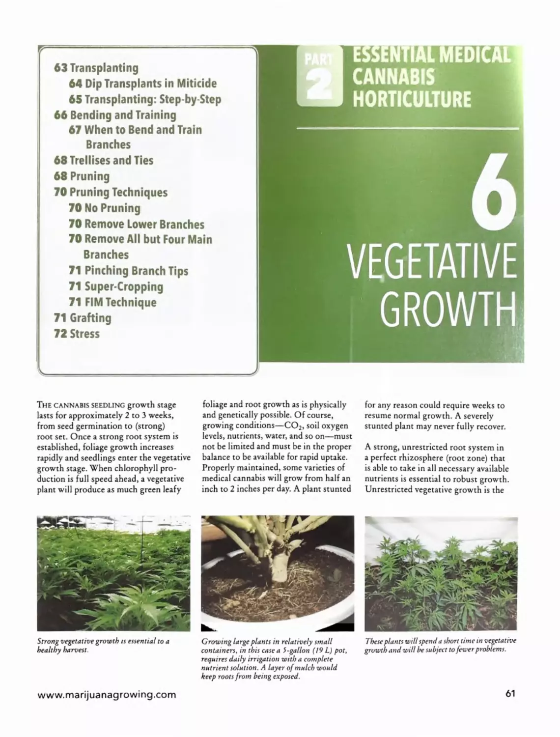 Chapter 6 - Vegetative Growth