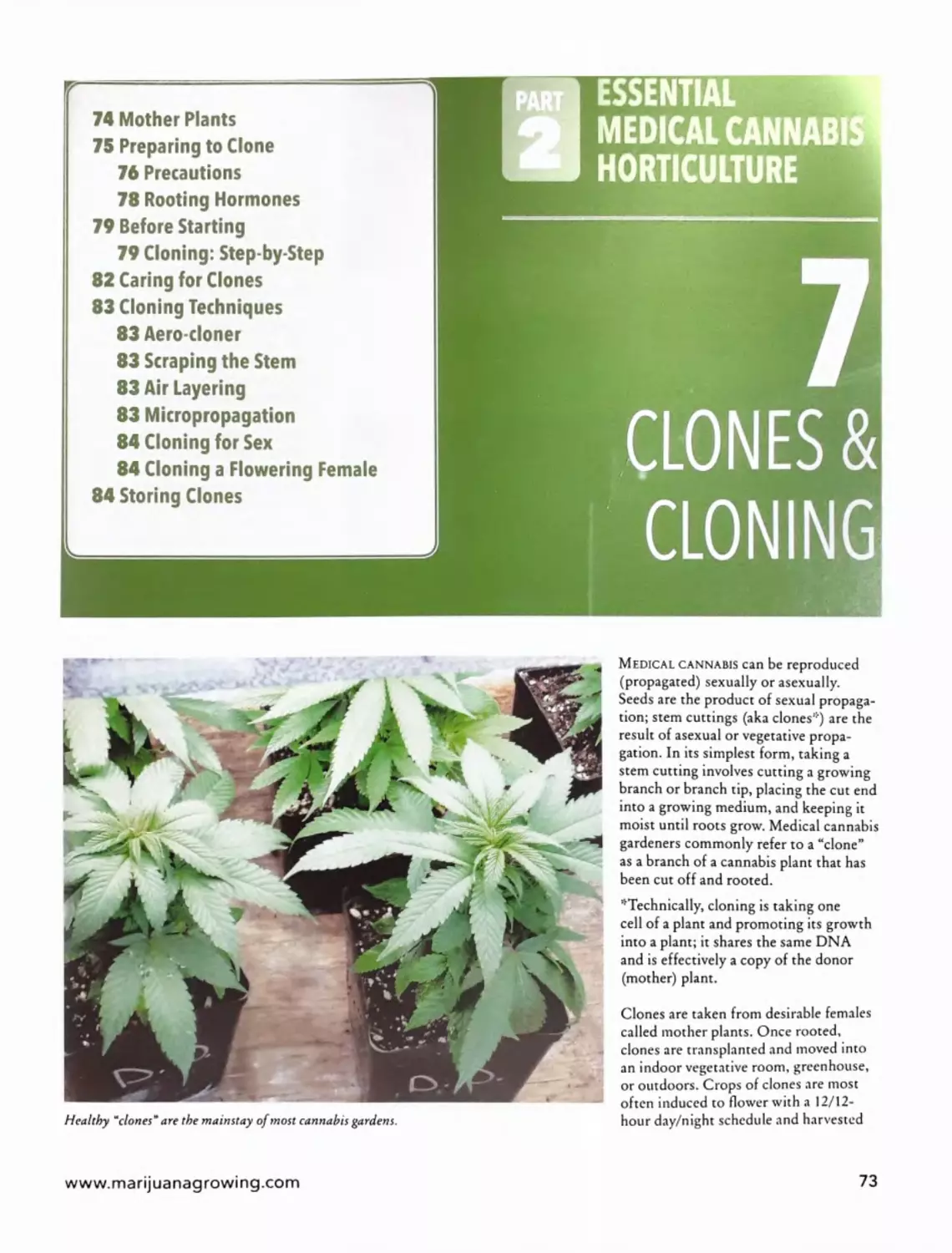 Chapter 7 - Clones & Cloning