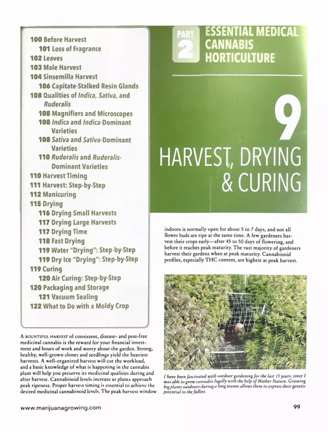 Chapter 9 - Harvest, Drying & Curing