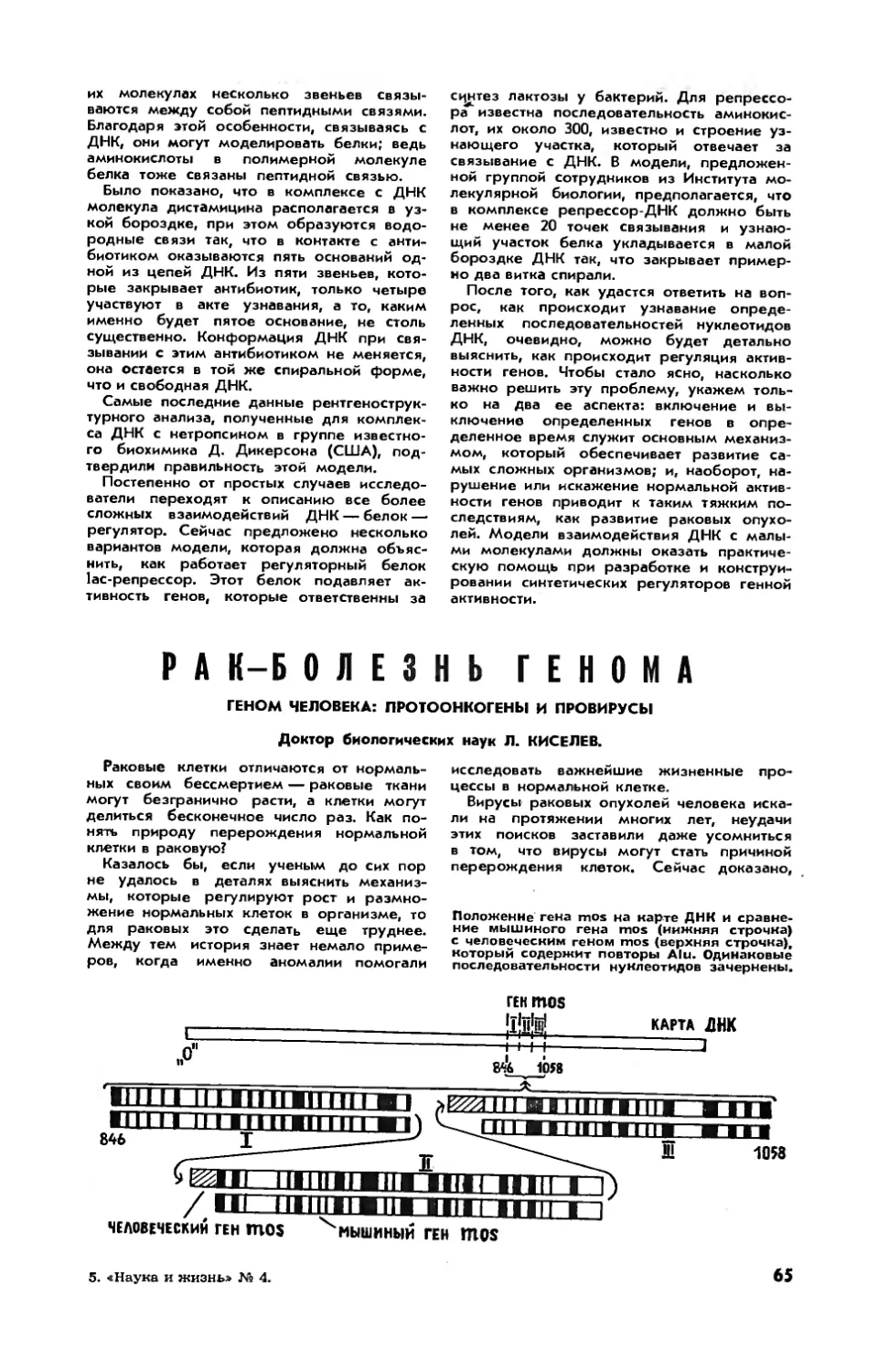 Л. КИСЕЛЕВ, докт. биол. наук — Рак — болезнь генома