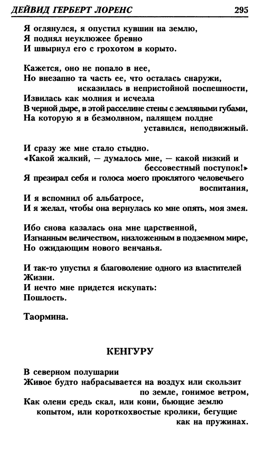 Кенгуру