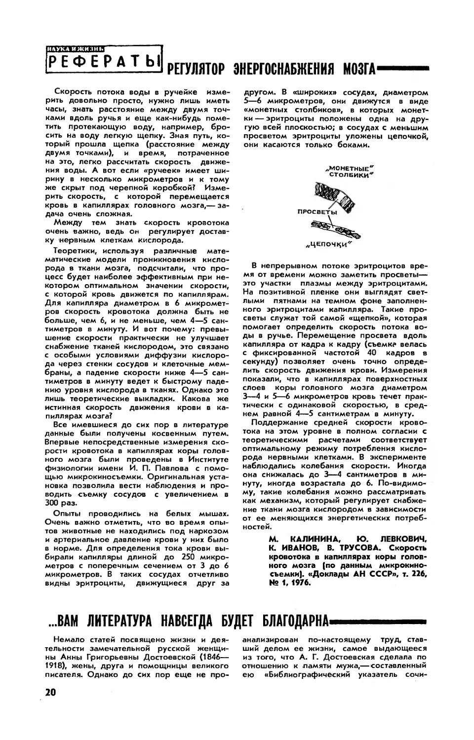 Регулятор энергоснабжения мозга
…Вам литература навсегда будет благодарна