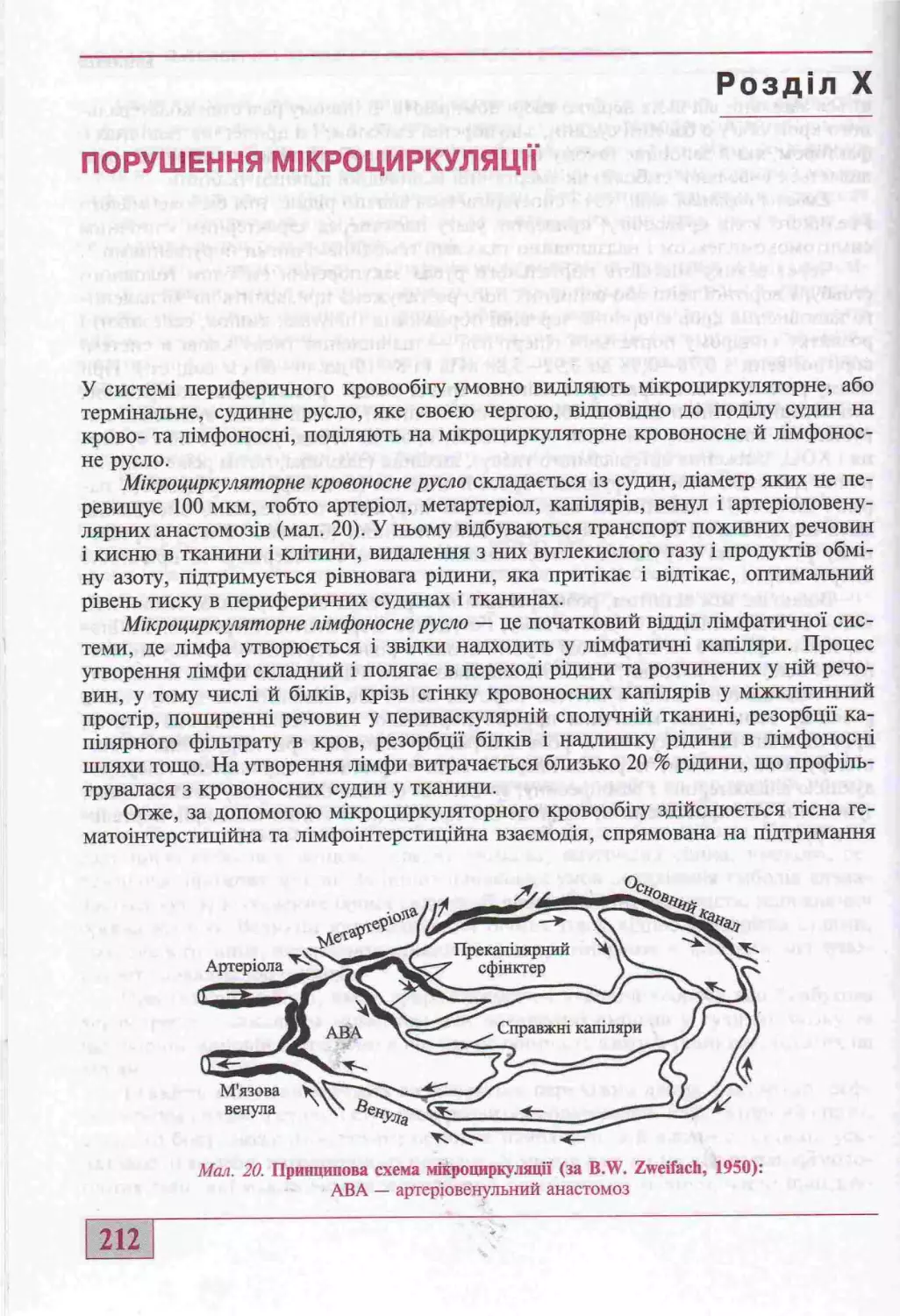 10. ПОРУШЕННЯ МІКРОЦИРКУЛЯЦІЇ.