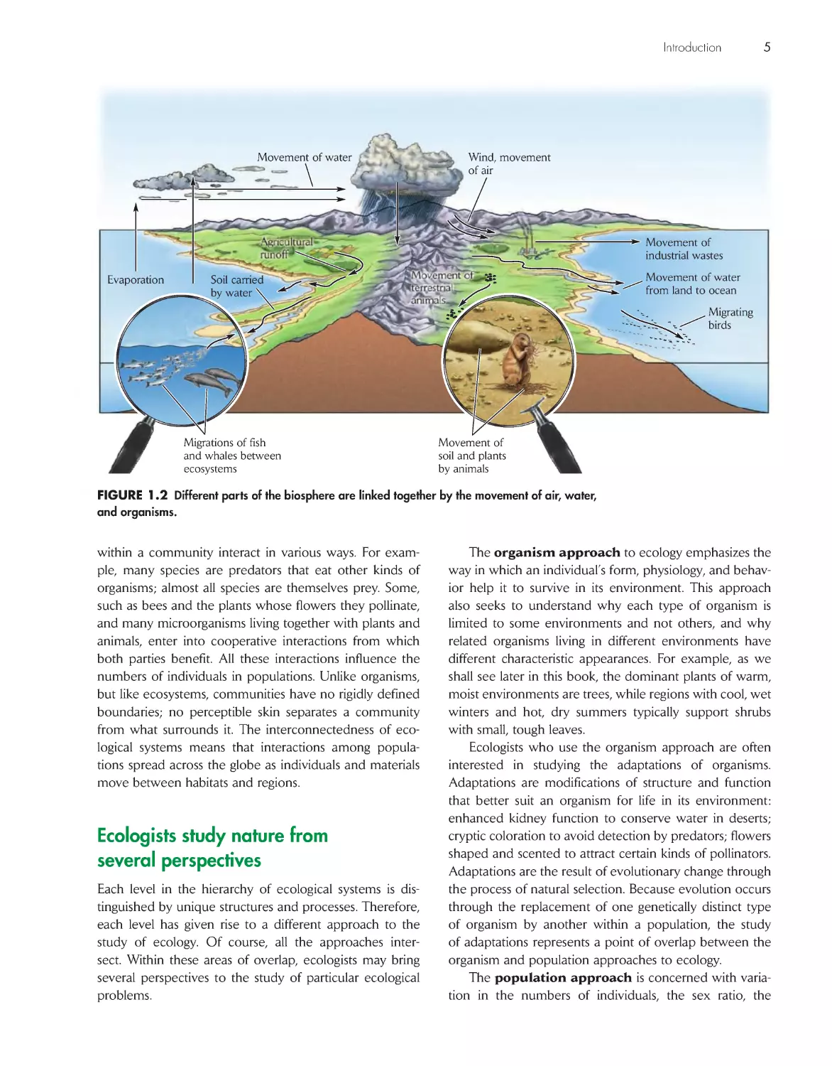 Ecologists study nature from several perspectives