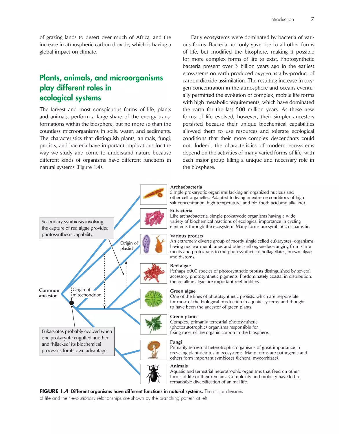 Plants, animals, and micro organisms play different roles inecological systems