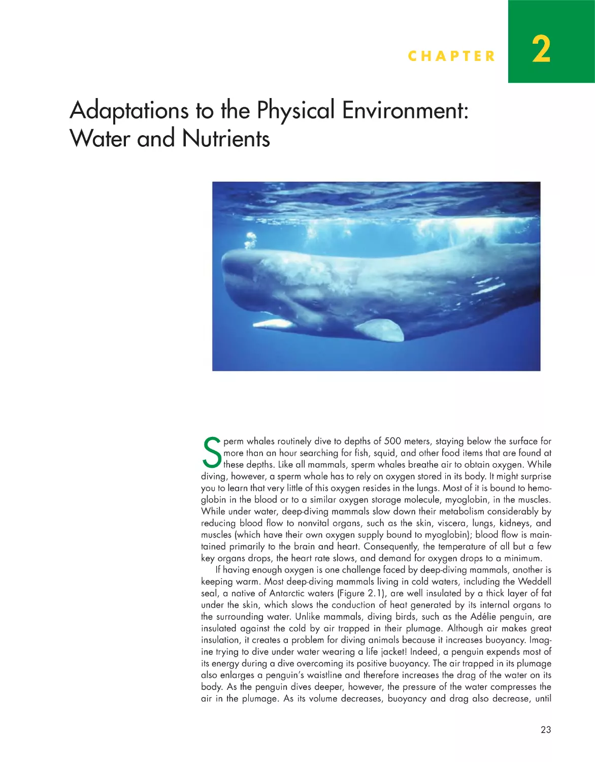 Chapter 2: Adaptations to the Physical Environment: Water and Nutrients