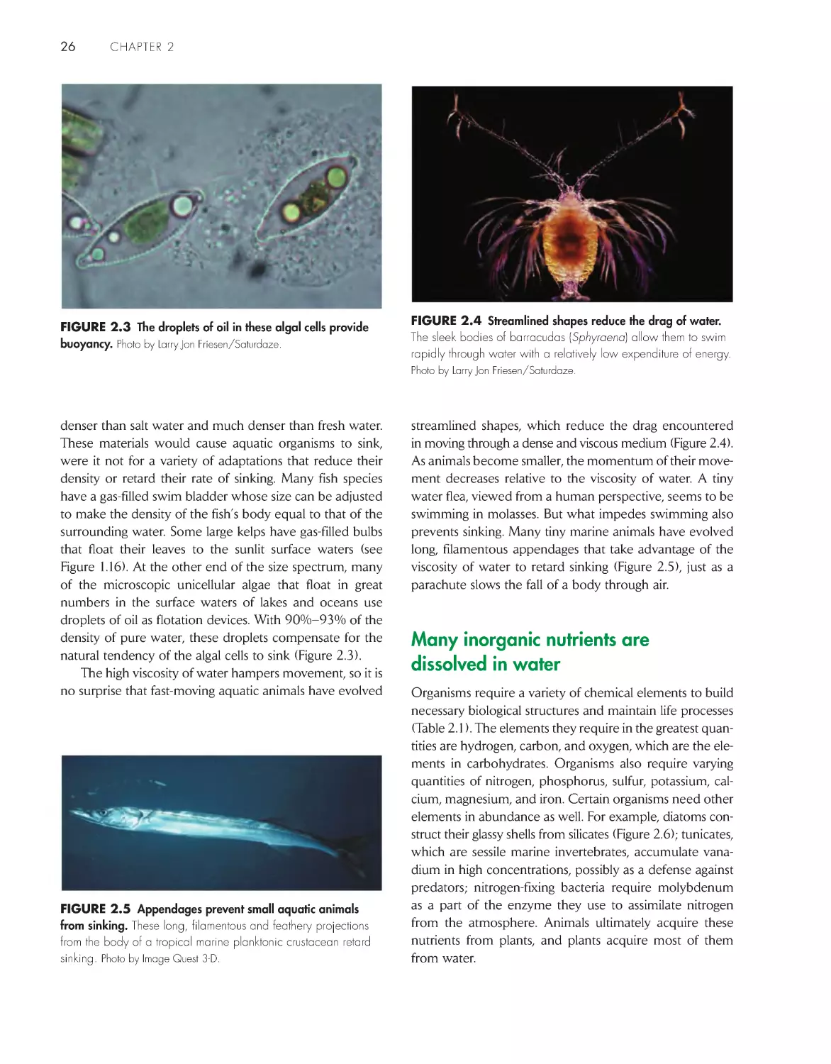 Many inorganic nutrients are dissolved in water